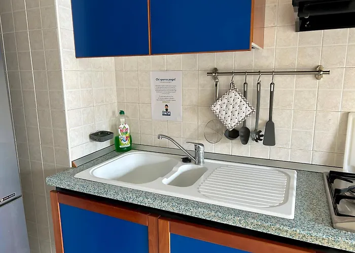 Testi Experience * 帕爾馬