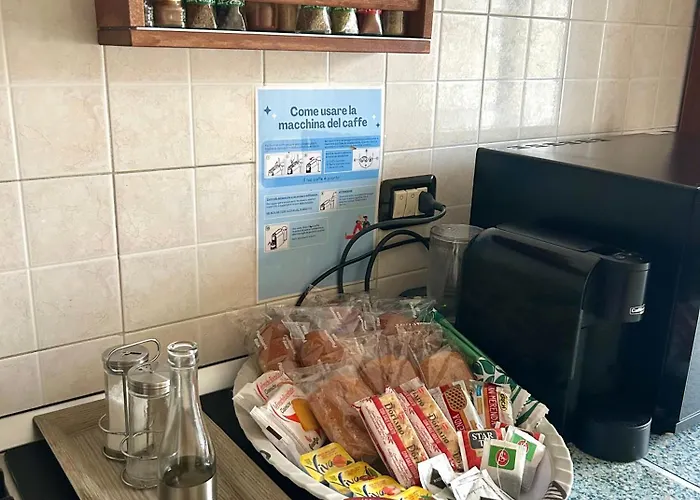 Testi Experience * 帕爾馬